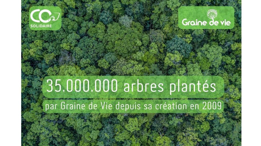 Image 4 - 35 millions d\'arbres plantés.jpg